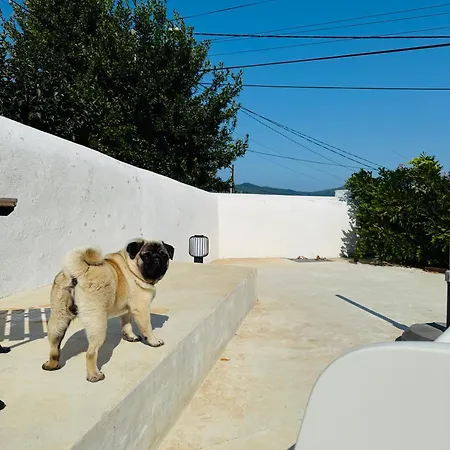 Casa Dos Marias Holiday home *